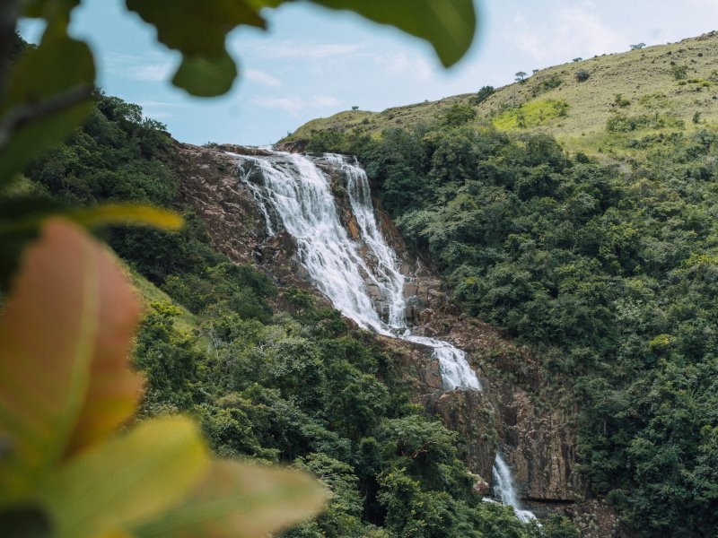 Panama Nationalparks: Entdecken Sie die Schönheit der Natur in Zentralamerika Panama Nationalparks