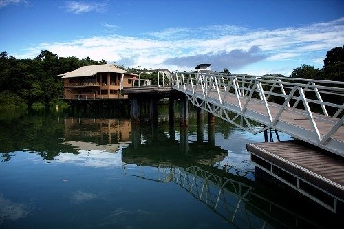 Panama Rundreisen und Baden - Ausflug in den Dschungel