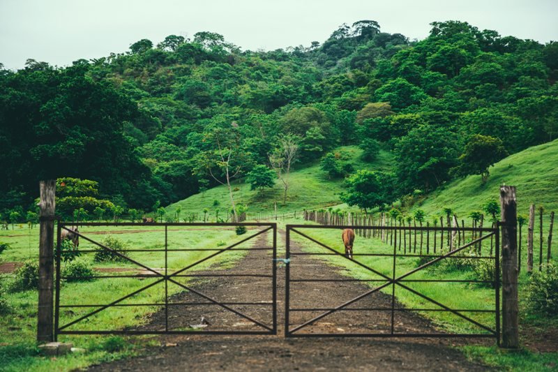 Landschaft Panama - Familienreise nach Panama mit Kindern