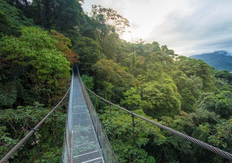 2 Wochen Panama und Costa Rica Rundreise 16 2 Wochen Panama und Costa Rica Rundreise