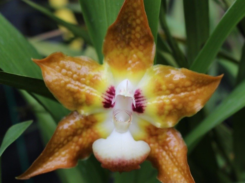 2 Wochen Panama Highlights Rundreise 6 2 Wochen Panama Highlights Rundreise