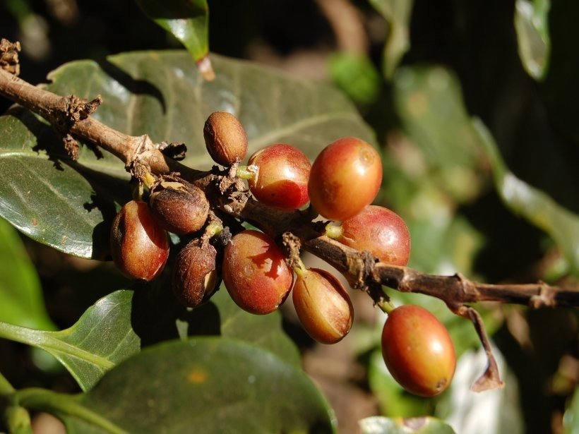 Explorer Mietwagenrundreise - 3 Wochen Panama 4 Explorer Mietwagenrundreise - 3 Wochen Panama