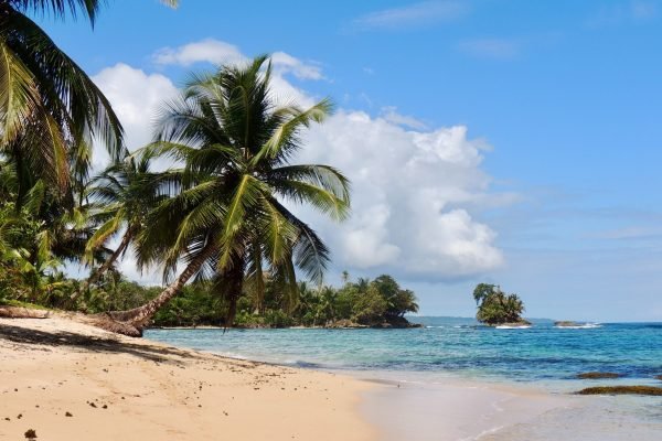 Bocas del toro (4)