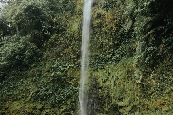 Chiriquí (1)
