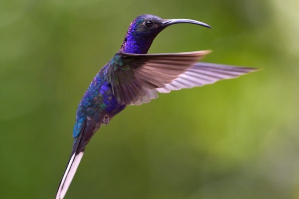 zdenek-machacek-kGPn_ElNw4c-unsplash