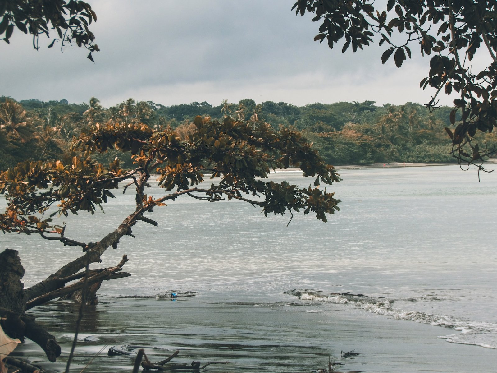 Panama Nationalparks: Entdecken Sie die Schönheit der Natur in Zentralamerika 4 Chagres - Panama Individual