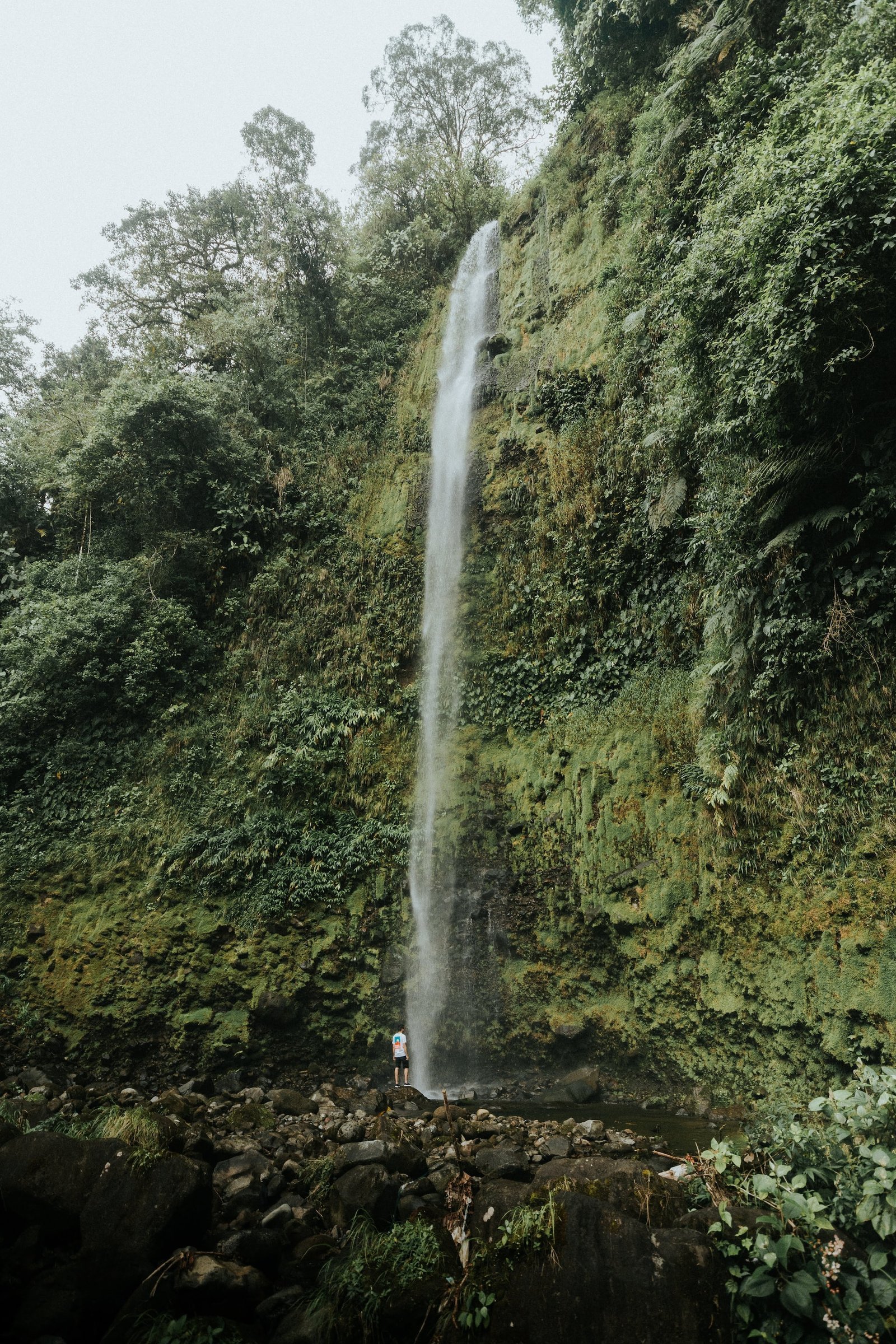 Panama Nationalparks: Entdecken Sie die Schönheit der Natur in Zentralamerika 16 La Amistad Nationalpark 2 - Panama Individual