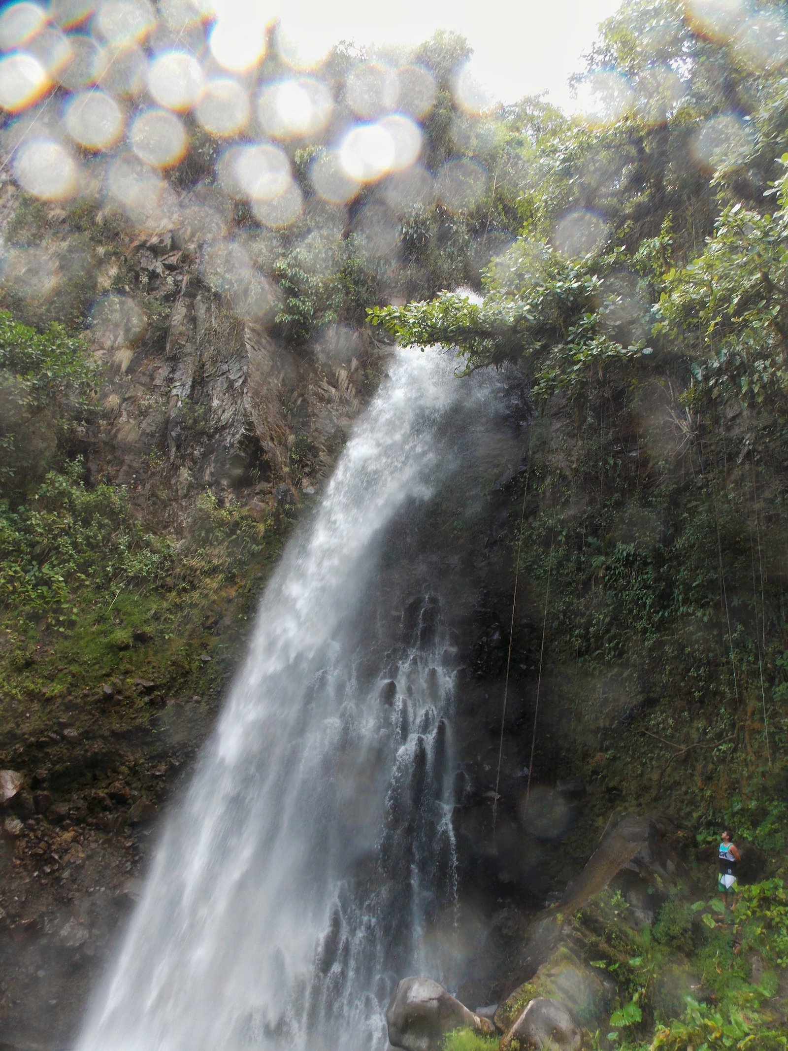 Panama Nationalparks: Entdecken Sie die Schönheit der Natur in Zentralamerika 17 La Amistad Nationalpark - Panama Individual