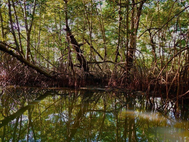 Die wichtigsten Panama Städte: Ein Überblick der urbanen Zentren 25 Agua dulce 1 - Panama Individual