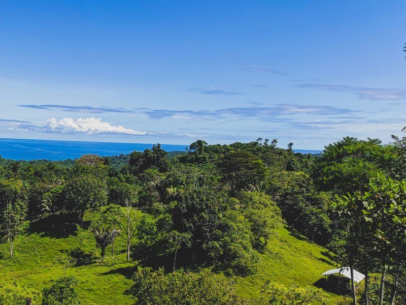 Die wichtigsten Panama Städte: Ein Überblick der urbanen Zentren 9 panama 6 - Panama Individual